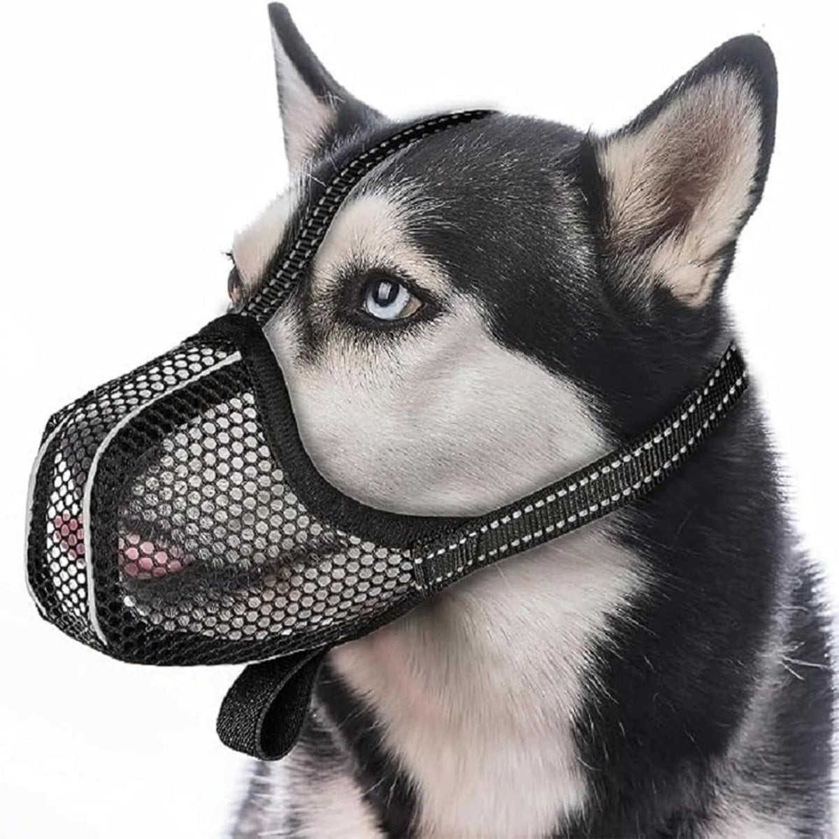 REFLECTIVE MUZZLE FOR BLACK DOG SIZE L, BREATHABLE AND ADJUSTABLE KA