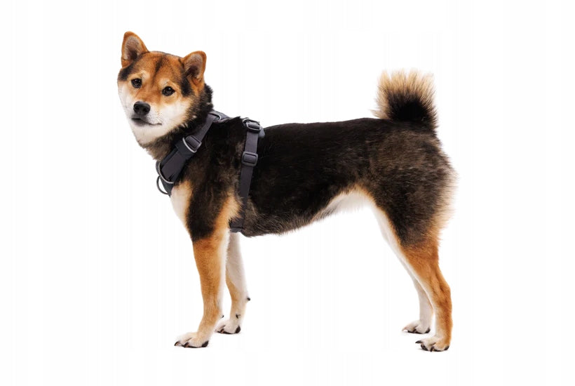 RUFFWEAR Front Range Harness Dog Harness BASALT GRAY - S Packaging status original