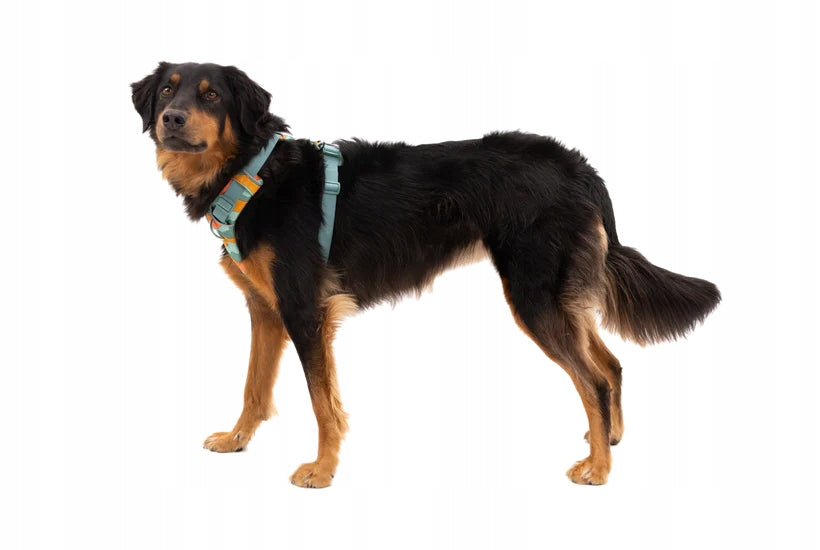 RUFFWEAR Front Range Harness Dog Harness - SPRING MOUNTAINS - L/XL Brand Ruffwear