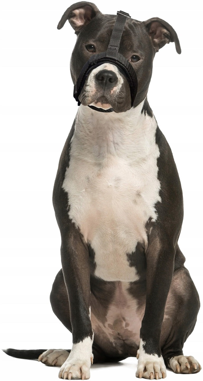 Regulated muzzle (brachycefalic) r.XXL