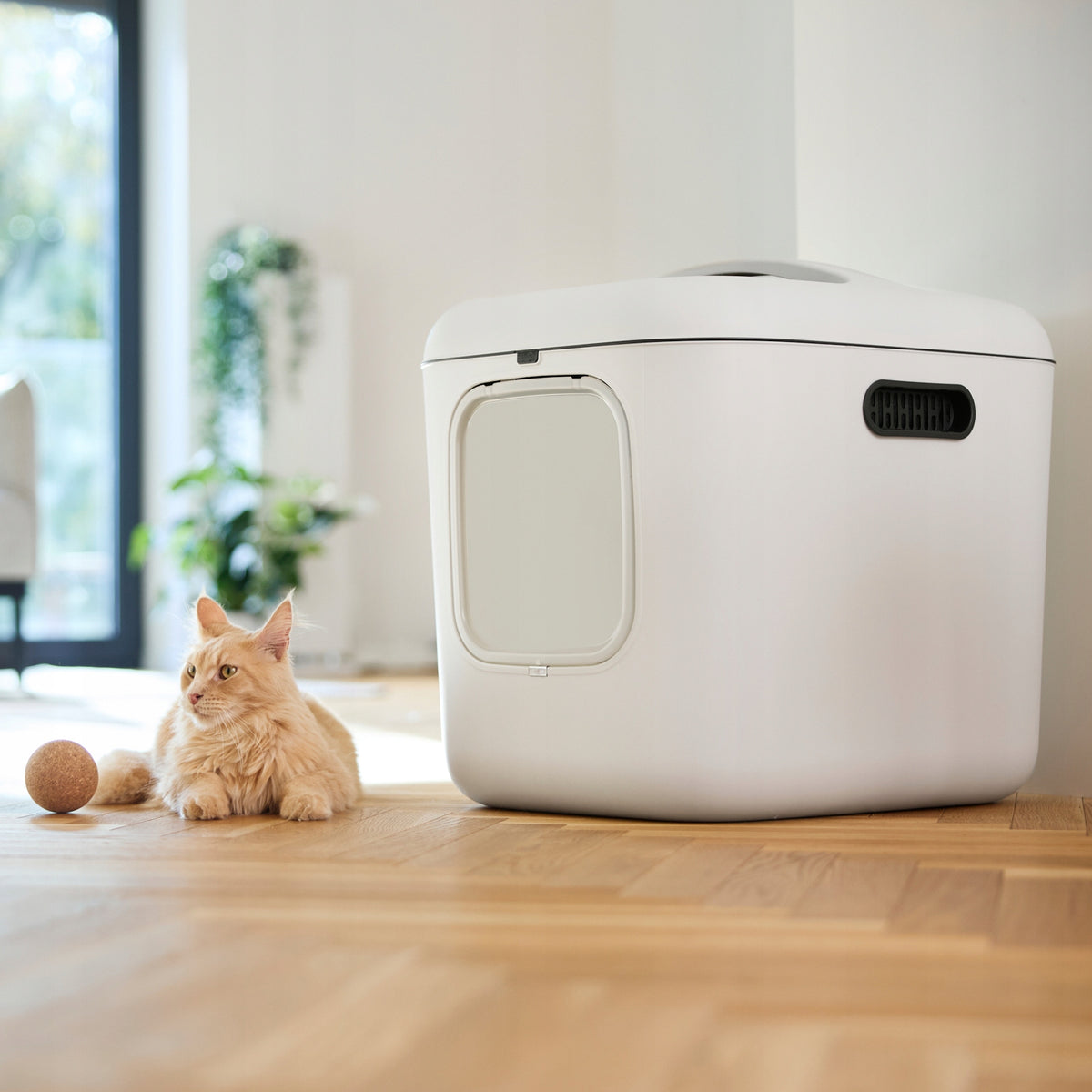 Rotho Closed Large Cat Cuvette WHITE XXL for Cat Litter Large Breeds Manufacturer code Europlanet BIALA XL kolor Biały