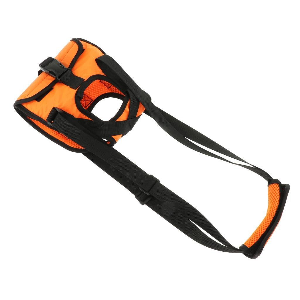 S Size Dog Lifting XL