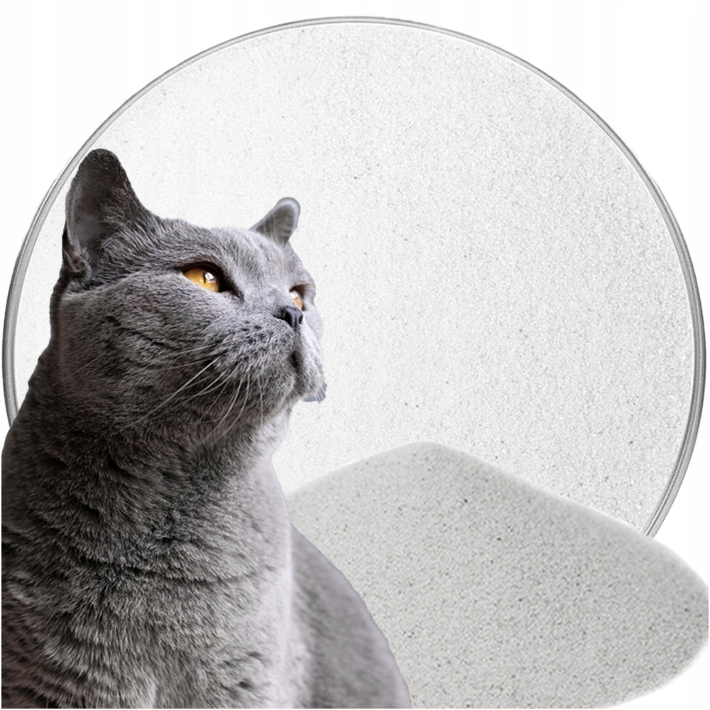 SAND CAT LITTER FOR LITTER BOX NATURAL ECO 5KG SAFE FINE DRY