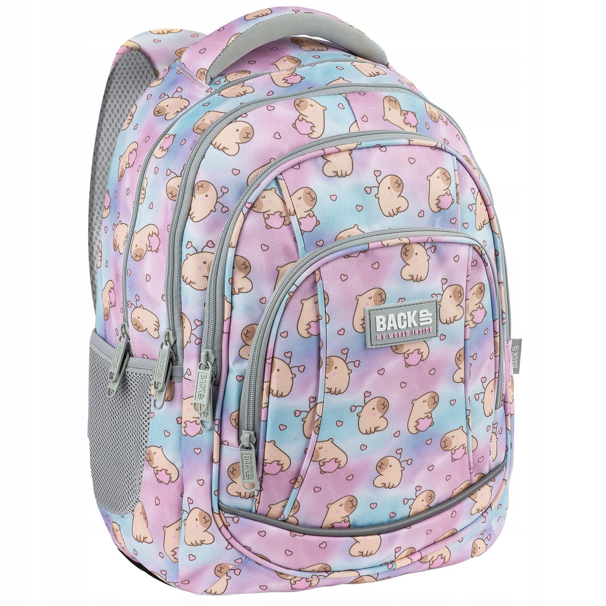 SCHOOL BACKPACK KAPIBARA DREAM MULTICOLOR 26L CLASS 1-3 BACK UP