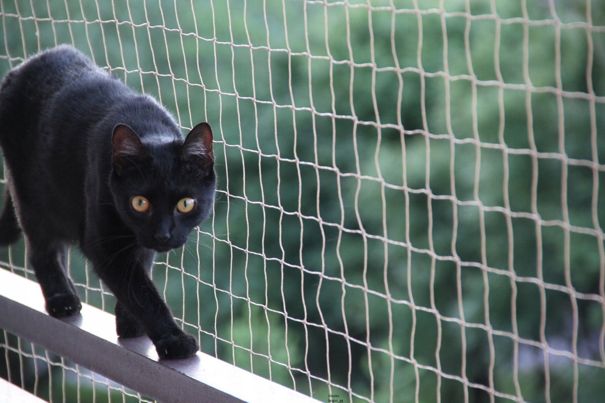 SET CAT BALCONY NET REINFORCED WITH WIRE WITHOUT DRILLING 6x3 Packaging status original