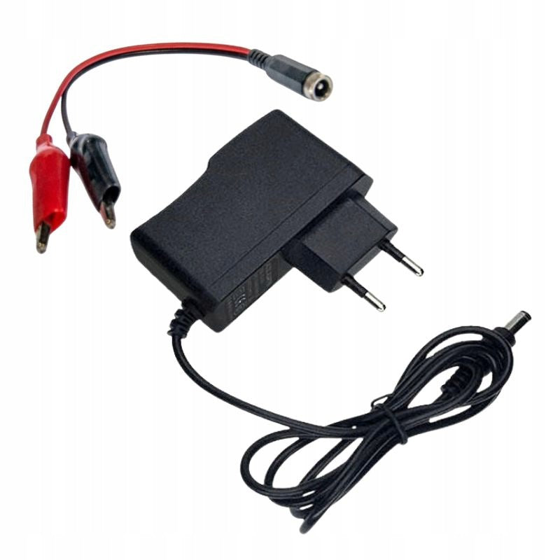 SET: CHARGER 6V plug + ADAPTER Adapter frog battery AGM
