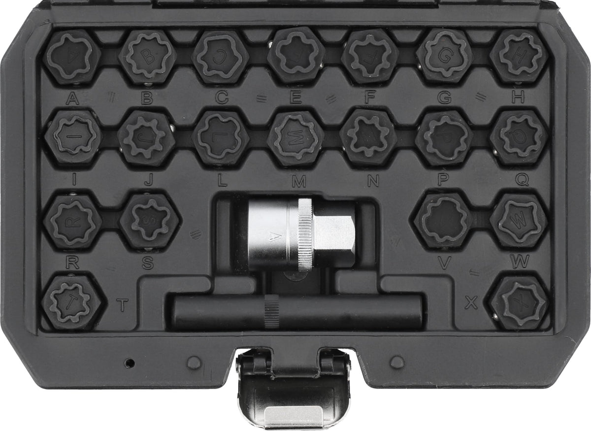 SET OF SOCKETS FOR SAFETY SCREWS AUDI 22 ELEMENTS
