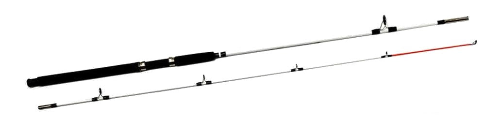 SET SEA FISHING ROD REEL FOR COD PROMOTION Manufacturer code Z1235