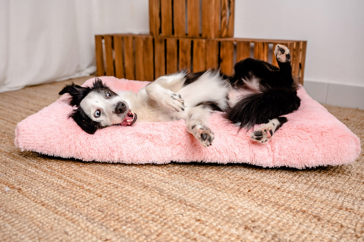 SHAGGY HAIRY DOG BED PILLOW XL (85x65cm) Pink Brand Mimiko Pets