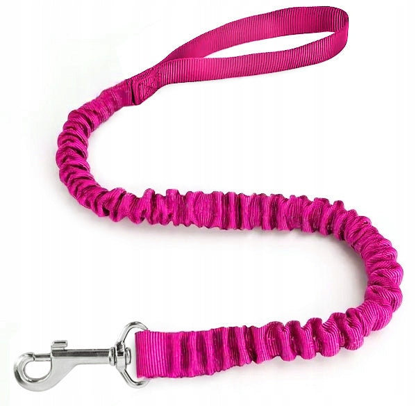 SHOCKING DOG LEASH FOR A PUTTING DOG SHOCKER FOR TRAINING Brand Reverse