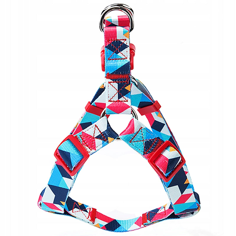 SNOW MOUNTAIN L Adjustable Dog Walking BRACES