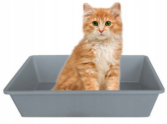 SOLID LITTER BOX OPEN LITTER BOX FOR CAT RABBIT S