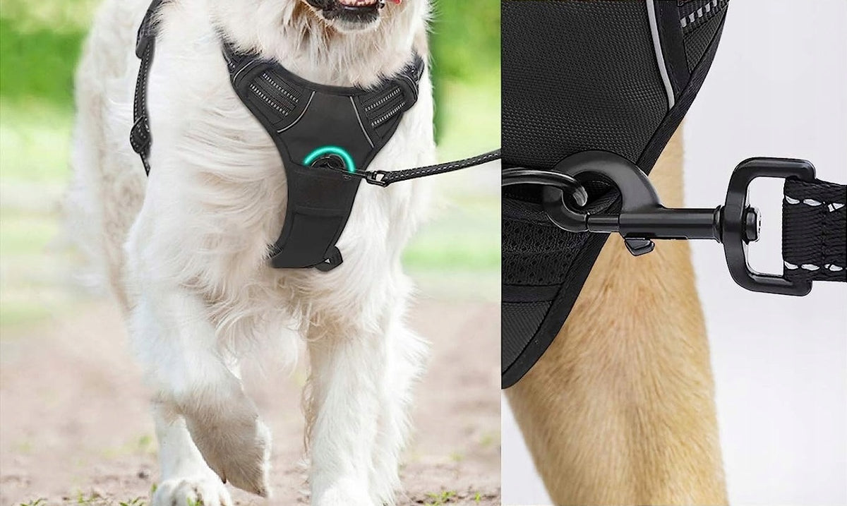 SOLID REFLECTIVE DOG HARNESS SIZE M Manufacturer code DTCW006L