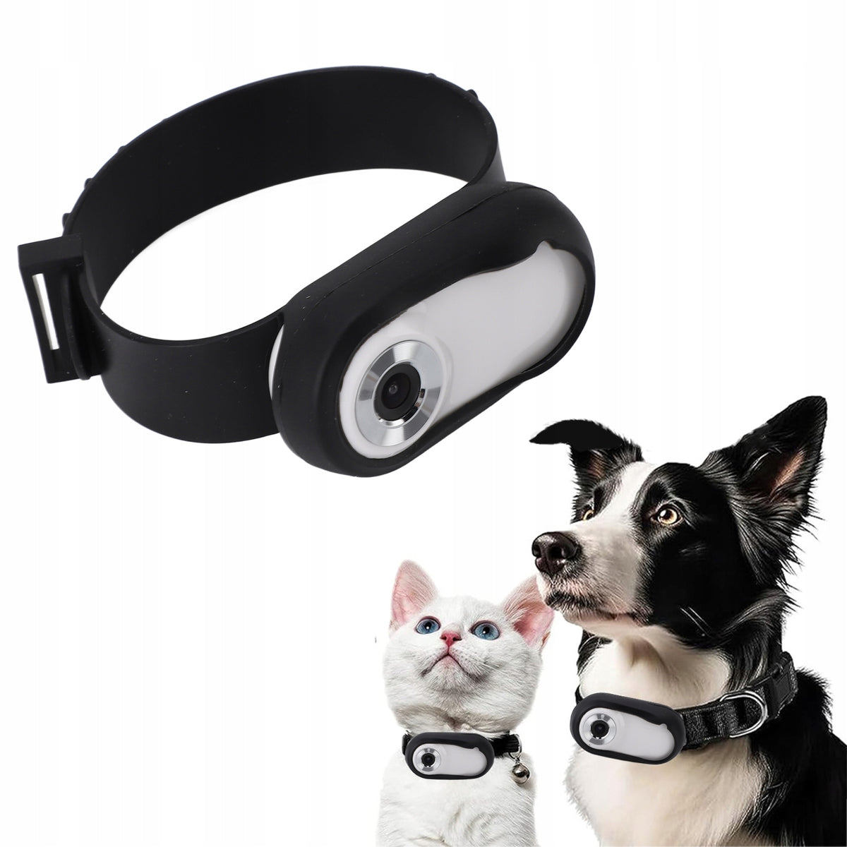 SPORTS CAMERA DOG AND CAT RECORDER HIGH RESOLUTION