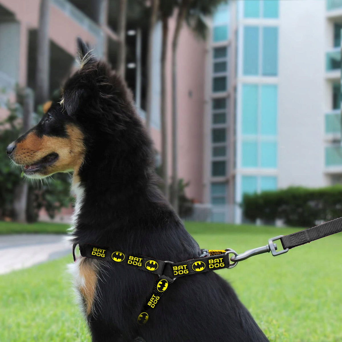 STEP IN DOG HARNESS ADJUSTABLE STRONG PRESSURE-FREE COMFORTABLE DECENT ros. L Brand Reverse