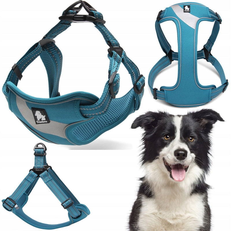 STEP-IN DOG HARNESS LIGHT REFLECTIVE TRUELLOVE DAILY PLUS BLUE L