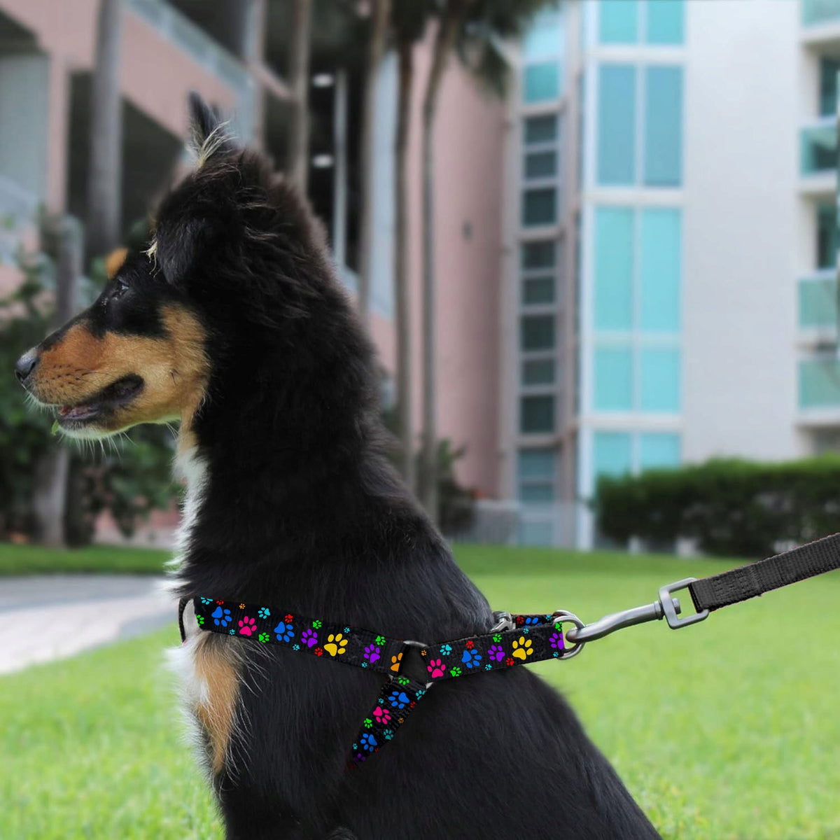 STEP IN HARNESS FOR DOG ADJUSTABLE STRONG PRESSURE-FREE COMFORTABLE DECENT ros. M Brand Reverse