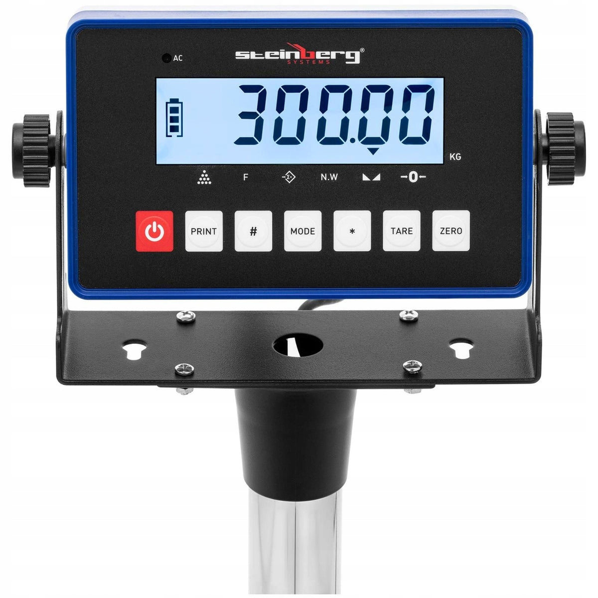 STORAGE PACKAGE PLATFORM SCALE 300 kg LCD Brand Steinberg Systems
