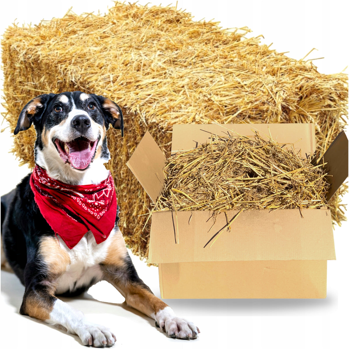 STRAW 4KG LARGE PADDING FOR CAT DOG GARDEN KENNEL RABBIT RODENT XL