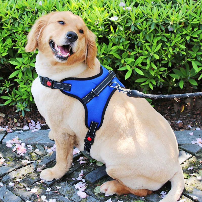 STRONG DOG HARNESS PRESSURE-FREE ADJUSTMENT L Brand Decortrend