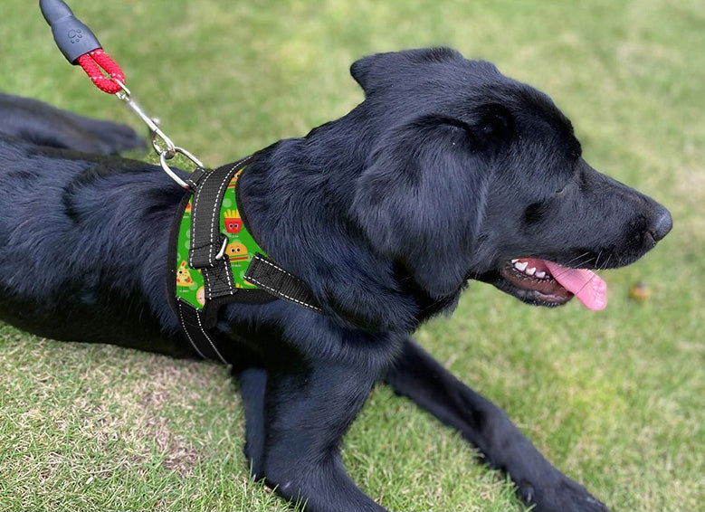 STRONG PRESSURE-FREE DOG HARNESS ADJUSTABLE COMFORTABLE LIGHT S 50-62 CM Brand Reverse