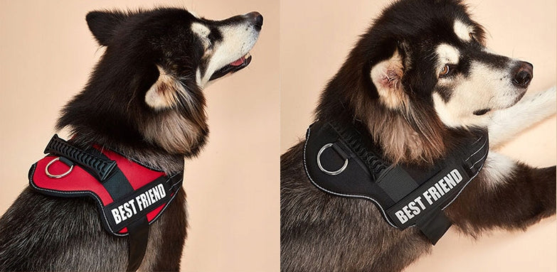 STRONG PRESSURE-FREE DOG HARNESS S 45-52 + ENGRAVING Brand Reverse