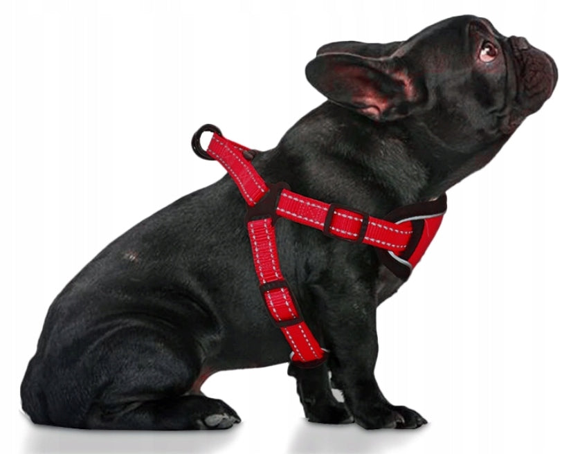 STRONG PRESSURE-FREE HARNESS FOR DOGS 36-50 cm size. S Brand Reverse
