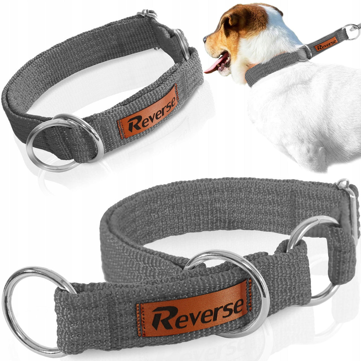 STRONG SEMI-CLAMP DOG COLLAR, ADJUSTABLE WEB CLAMP, 30-45 M