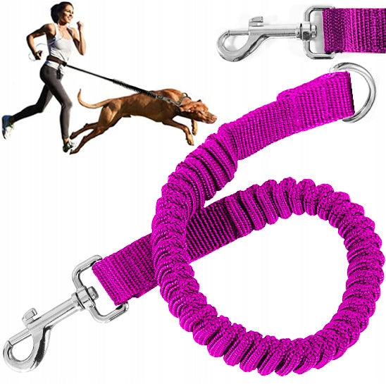STRONG SHOCK ABSORBER FOR TRAINING LEASH FOR JERKY DOG ELASTIC LEASH