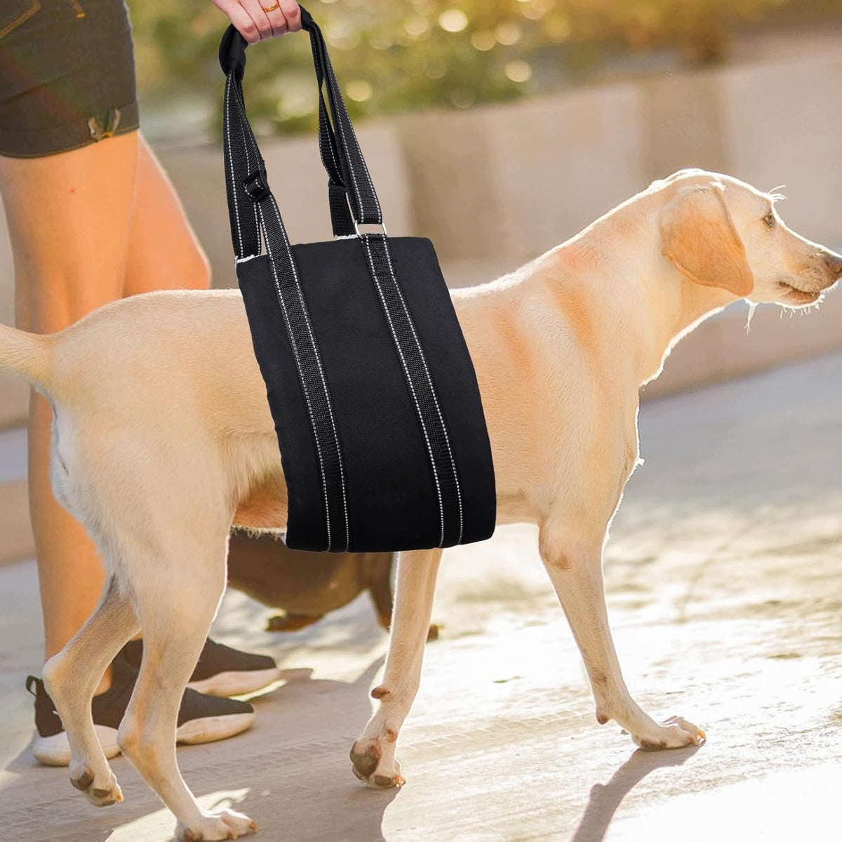 SUSPENDERS CARRIER REHABILITATION HARNESS FOR ANIMALS FOR LIFTING BLACK Manufacturer code 7PTYQ5307-005
