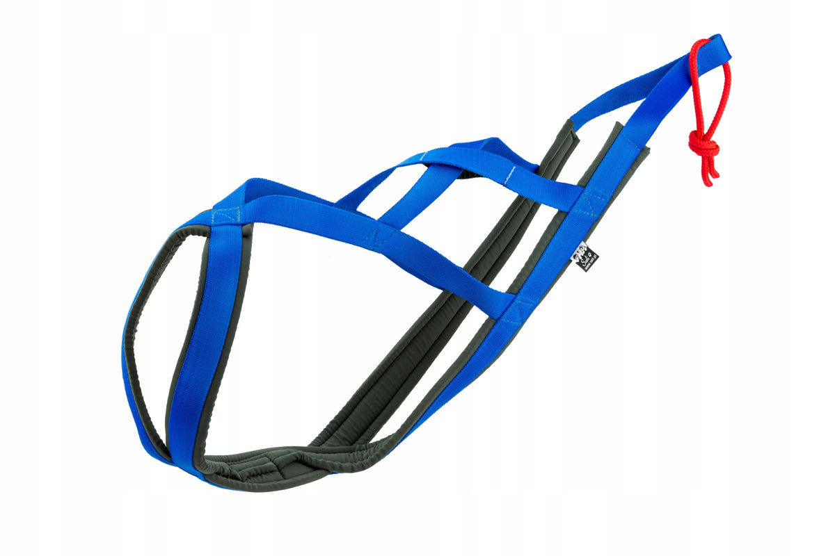 Sali.pl Harness SLED size M blue