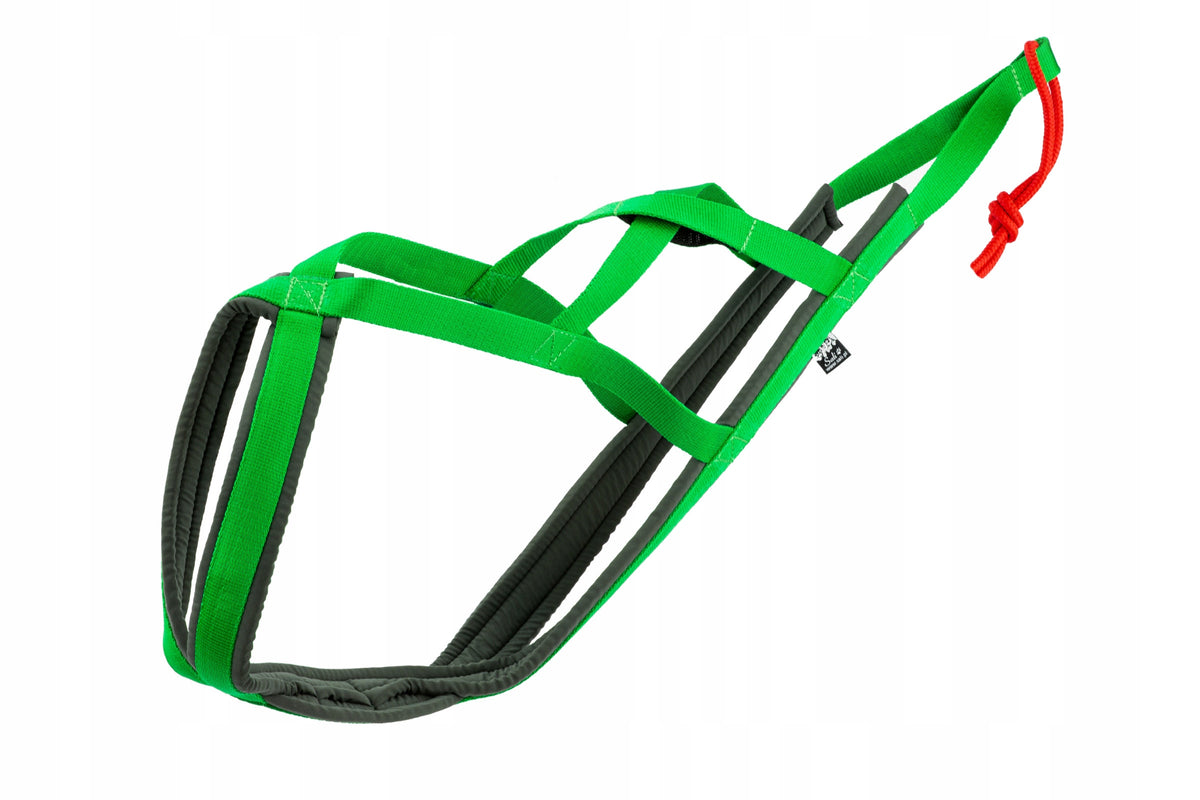 Sali.pl Harness SLED size XL green
