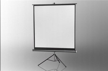 Screen on tripod Celexon Economy 244 x 138 cm
