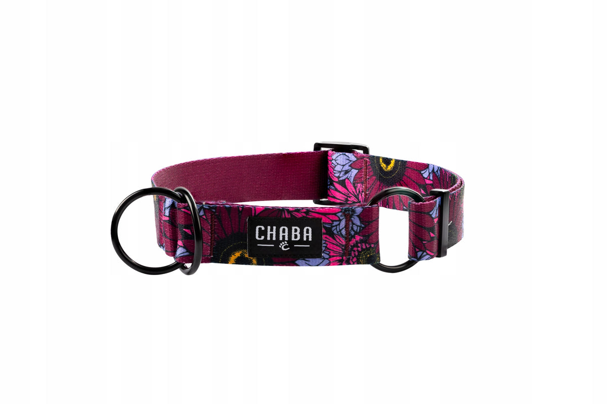 Semi-Clamp Collar for Medium Dog Reflective Adjustable 26-50CM/2,5