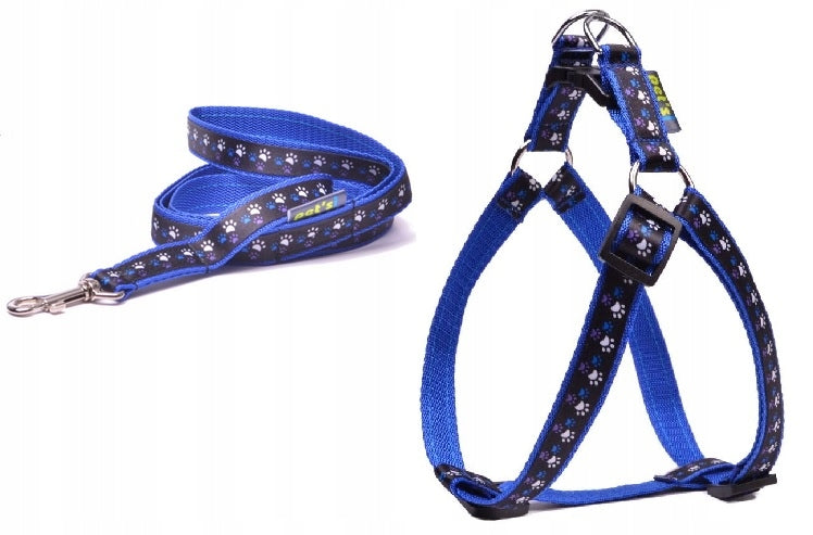 Set Paws leash and harness for dog Petsi M