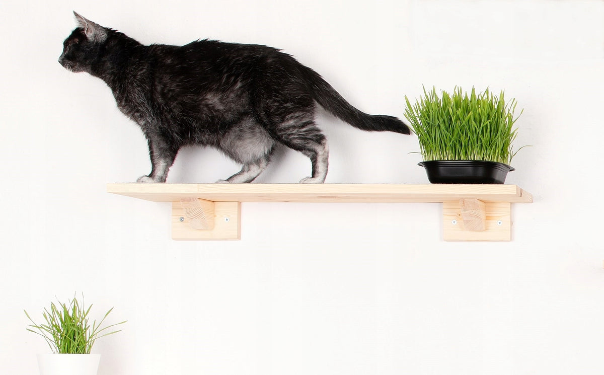 Shelf 60 cm for a cat