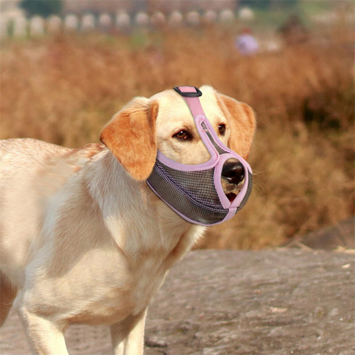 Short Snout Muzzle, Dog Mask Adjustable Grooming Tools Soft Pink M