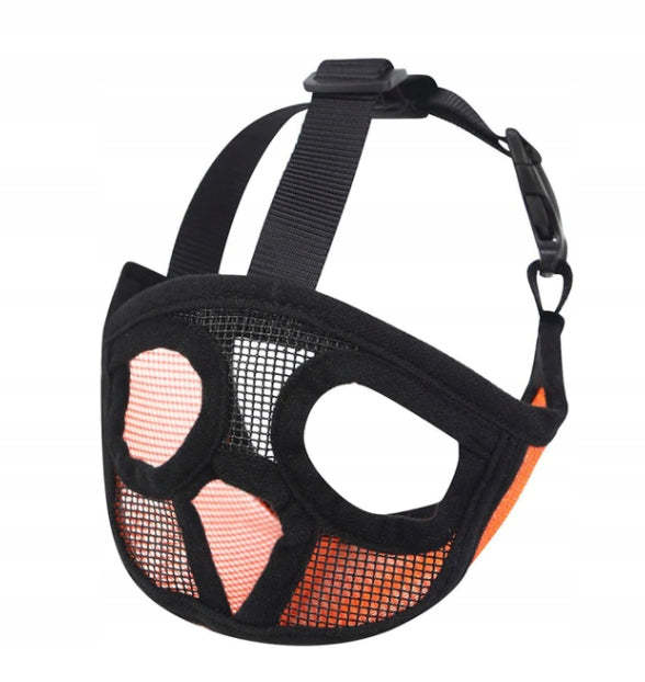 Short snout French bulldog pug muzzle M