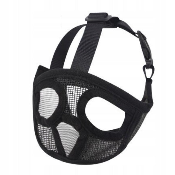 Short snout bulldog French pug muzzle XS