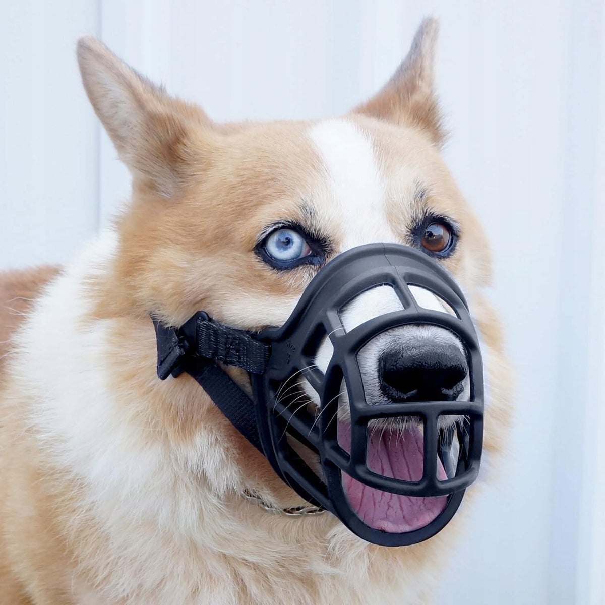 Silicone muzzle For Dog Black Adjustable 40-47cm Comfortable Safe Packaging status original