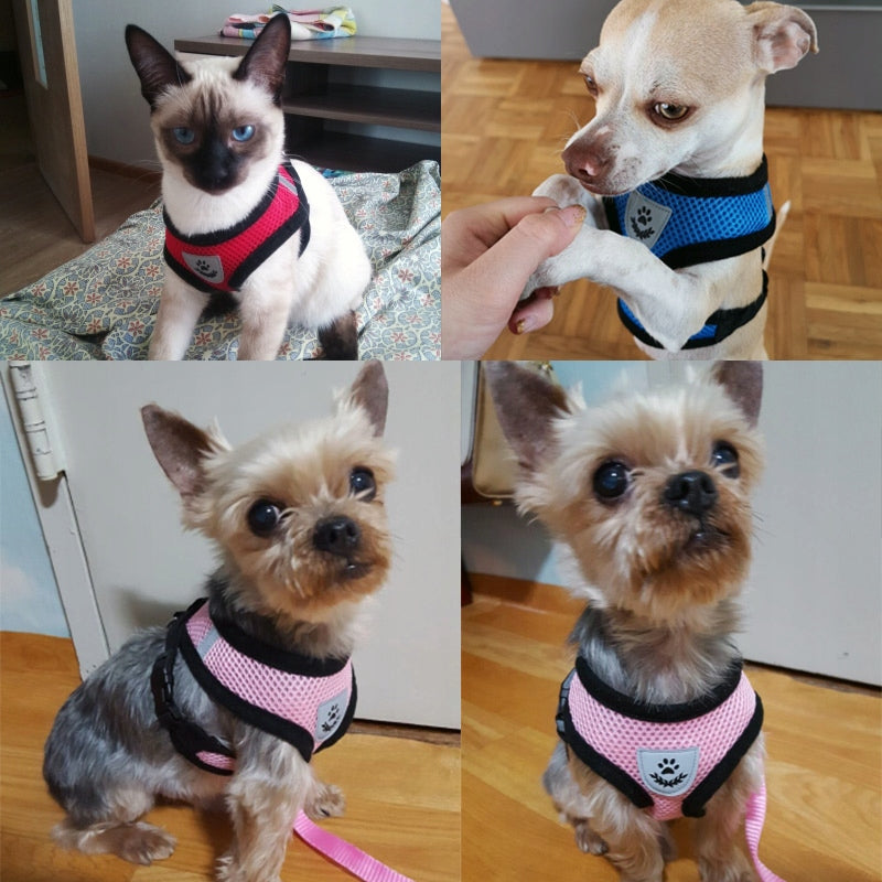 Small Dog Harness, Cat + Leash, Lightweight Breathable Reflective UpS4/S Manufacturer code UpS4/S