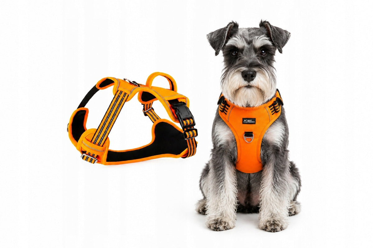 Small Dog Harness GUARD Adjustable Reflective Durable Orange S