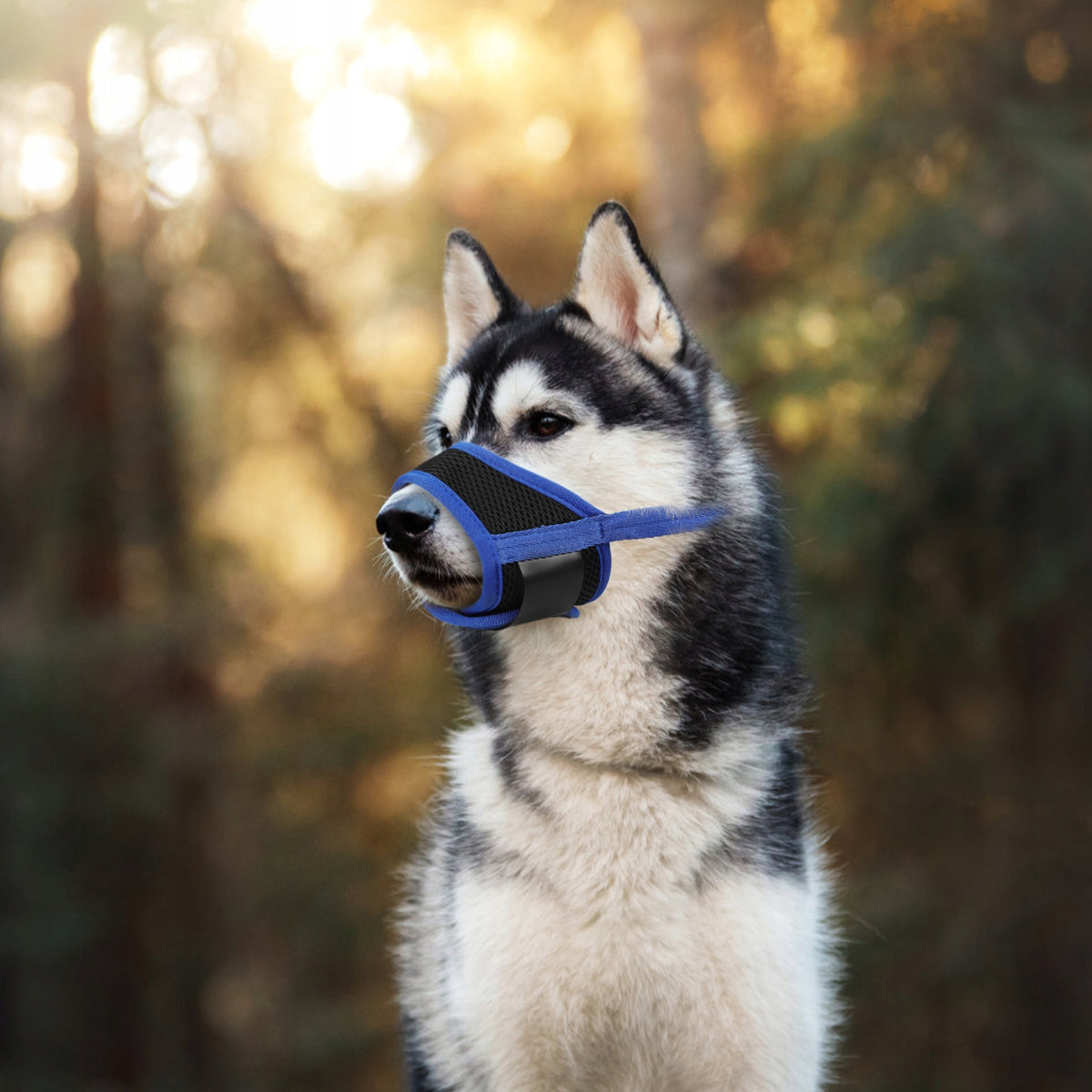 Soft breathable muzzle for small dog, S size Manufacturer code 18805022