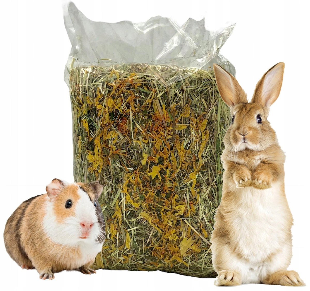 Summer Hay MEADOW Natural Hay Food for Rodent Pig Rabbit Champi Brand Champion