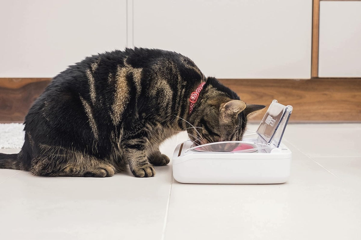 SureFeed Automatic Cat Bowl with Hermetic Motion Sensor Manufacturer code adsadsasa