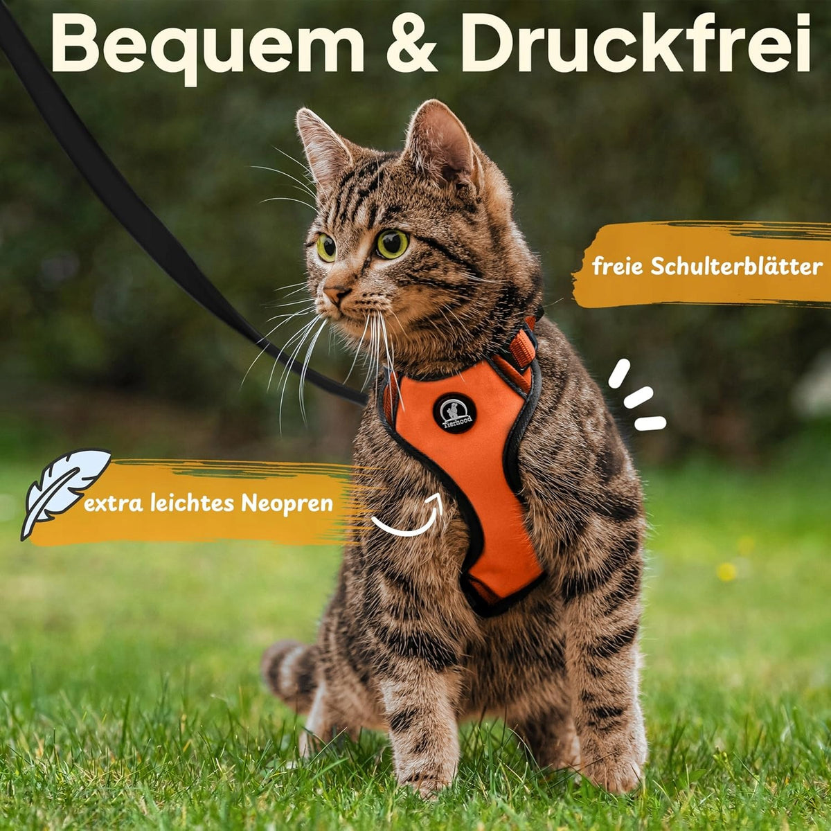 TIERHOOD - CAT HARNESS WITHOUT FOLDING - LEASH INCLUDED Manufacturer code B09H5TR29X