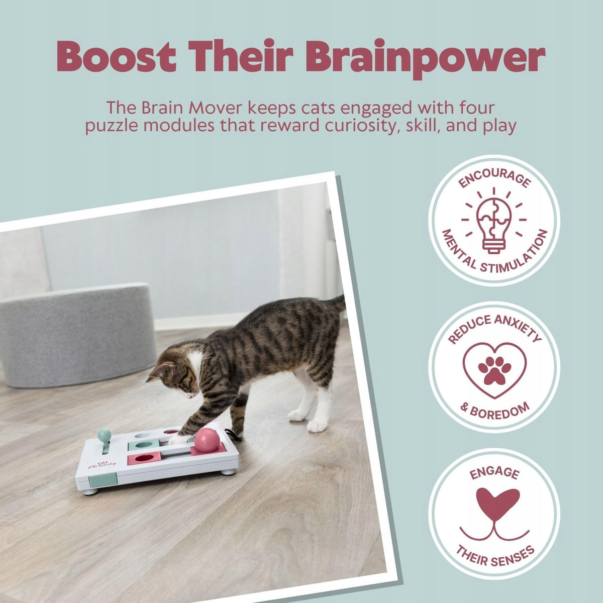 TRIXIE Cat Activity Brain Mover Interactive Puzzle for Cat Packaging status original