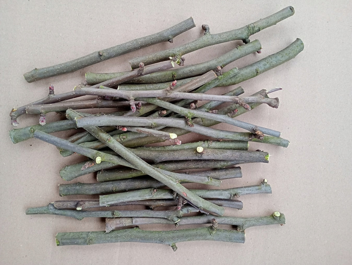 TWIGS PEARS 200g PEARS TREATS TEETHERS 0,2kg FOR RODENTS