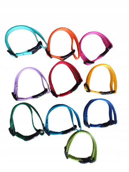 Tags for puppies 11pcs Margoo size XS