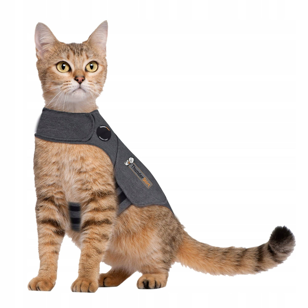 Thundershirt for medium cats grey M T02-HGM Thunderworks